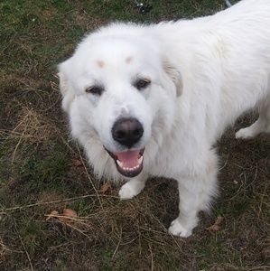 Meet your Posher, Rilee